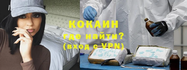 гашик Алексин