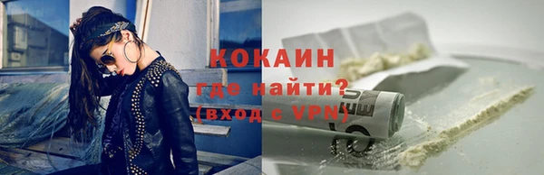 гашик Алексин