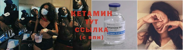 гашик Алексин