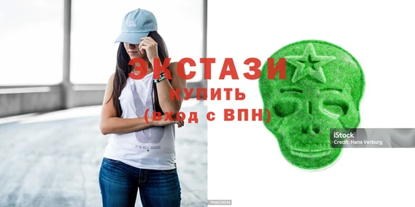 гашик Алексин