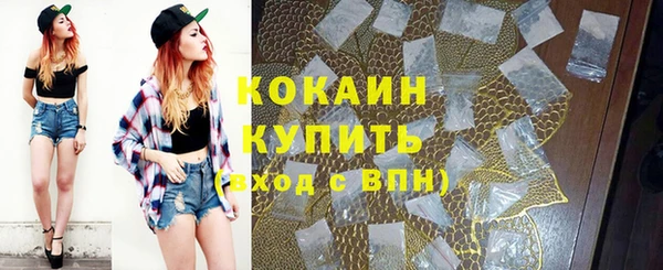 спайс Алзамай