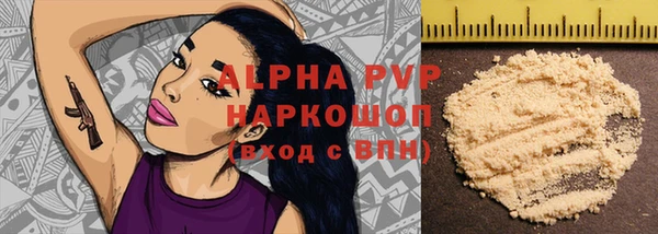 гашик Алексин
