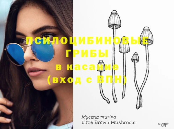 спайс Алзамай