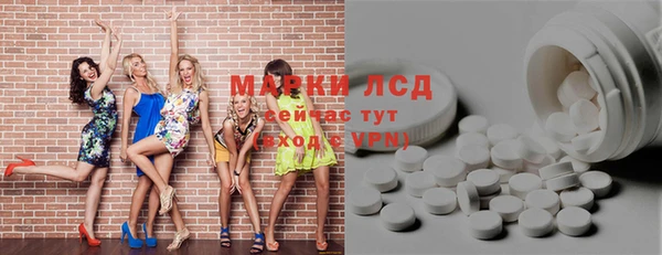 гашик Алексин